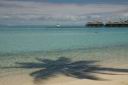 HoneyMoon 472.jpg